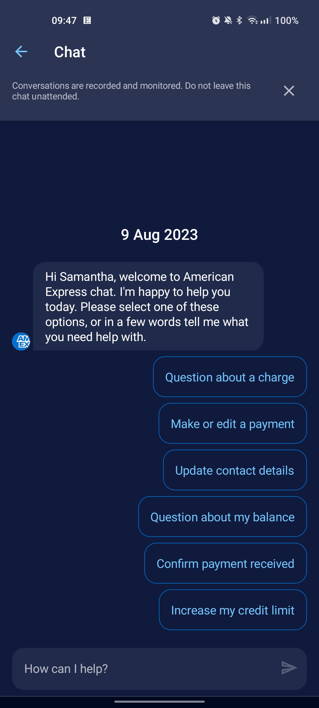 American Express chat assistant